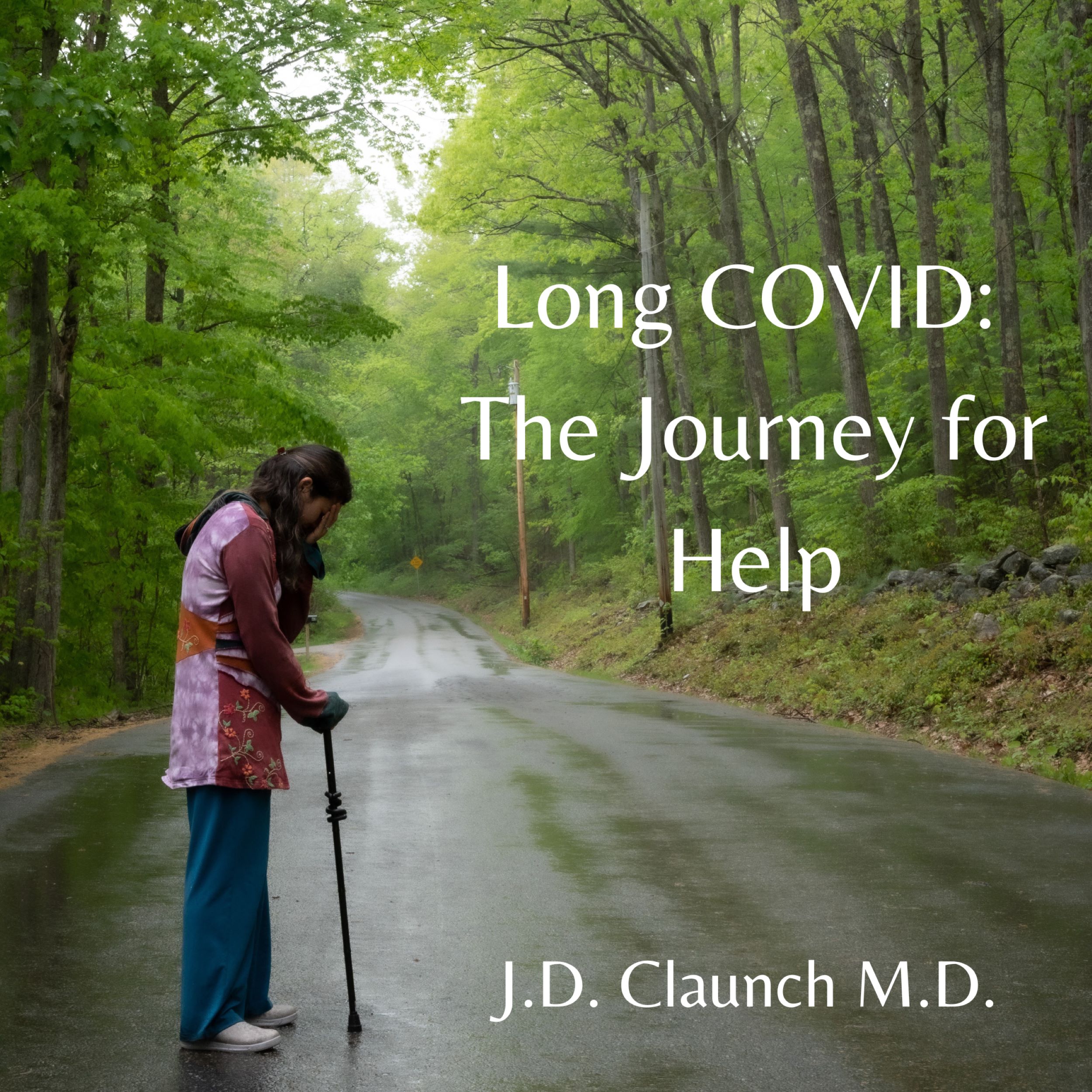 Long COVID: The Journey for Help — book cover